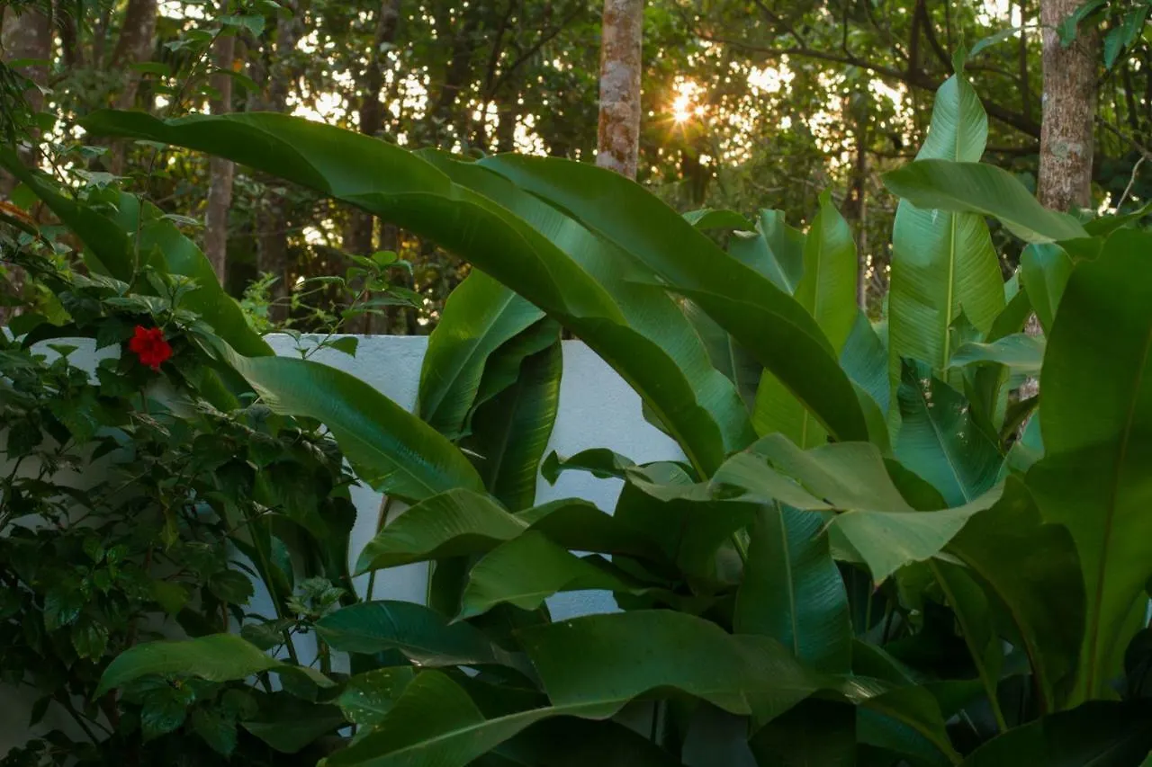 Homestay Villa Mia Mararikulam